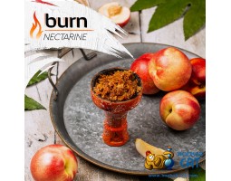 Табак Burn Nectarin (Нектарин) 25г Акцизный